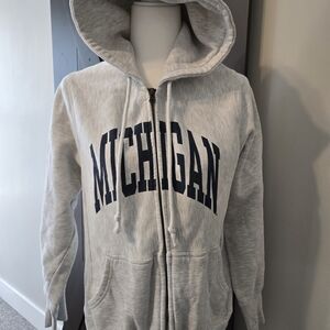 Knights Apparel Gray Michigan Hoodie